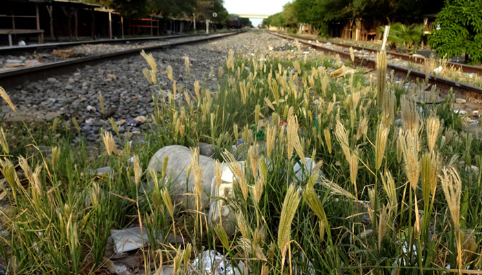 Convierten vías del tren en basurero de toda clase de desechos
