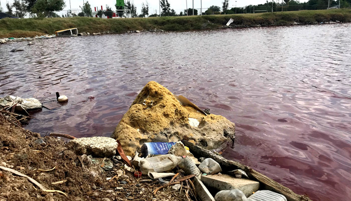 Laguna con aguas rojas en colonia Benito Juárez