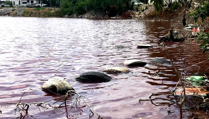 Laguna con aguas rojas en colonia Benito Juárez