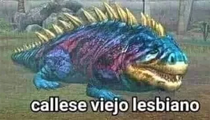 le grita a su maestro “cállese viejo lesbiano”