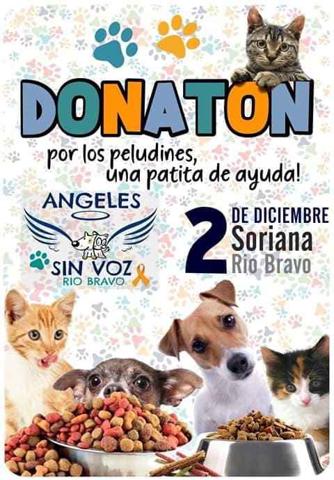 Realizarán “Donaton para perros” de Río Bravo