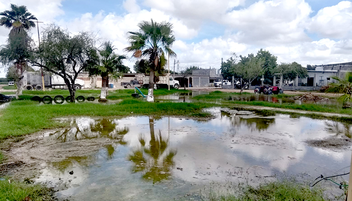 Podría ser un foco de infección para niños riobravenses