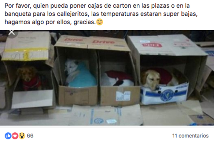 Granizó en Río Bravo