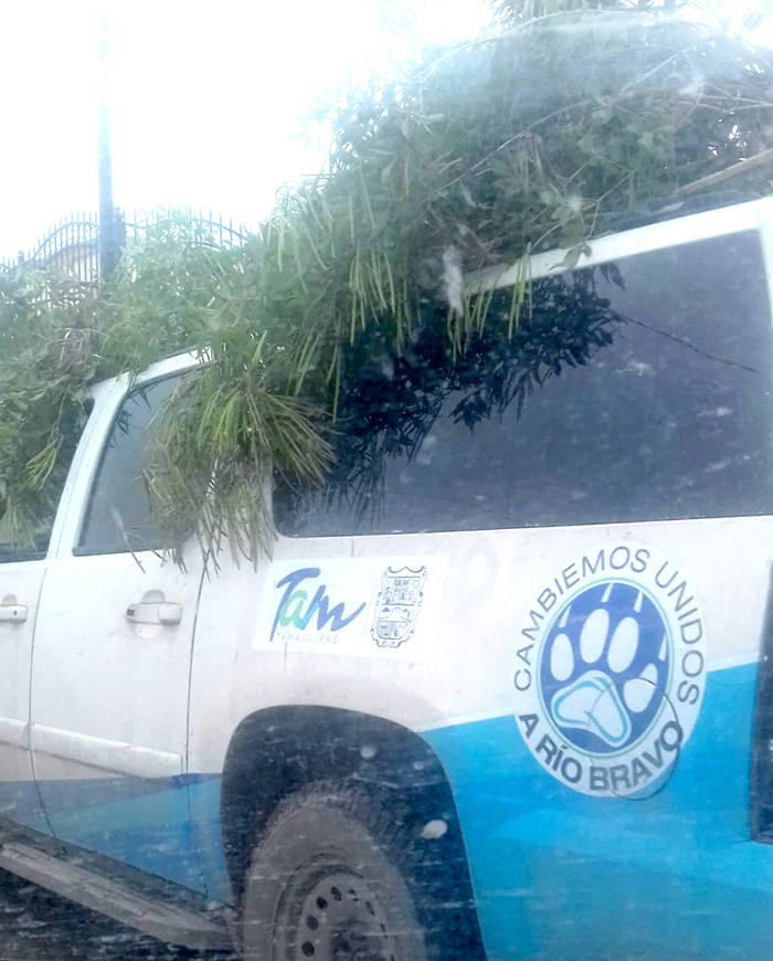 Suburban municipales de Río Bravo hacen las labores de limpieza