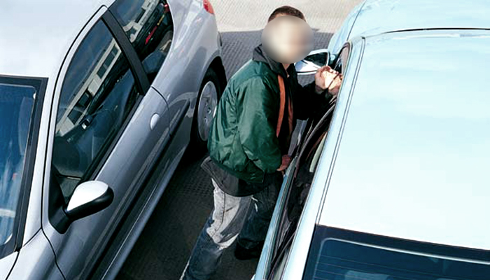 Ladrones de coches y casas andan sueltos en Río Bravo