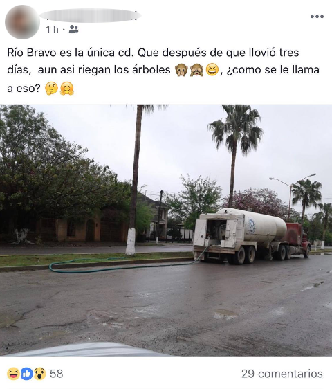 Municipio de Río Bravo, manda regar las plantas en época de lluvias