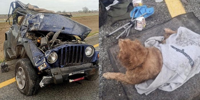 Hombre y perrito sufren volcadura en la autopista Matamoros-Reynosa