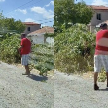 denuncian-tira-de-ramas-en-bulevar-las-americas