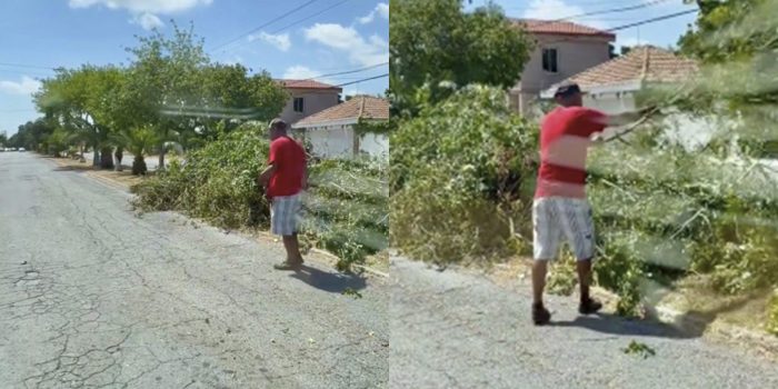 denuncian-tira-de-ramas-en-bulevar-las-americas
